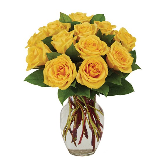Dozen Yellow Roses
